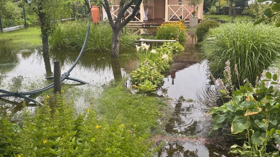 Fot. ROD "Nad jeziorem" w Szczecinie