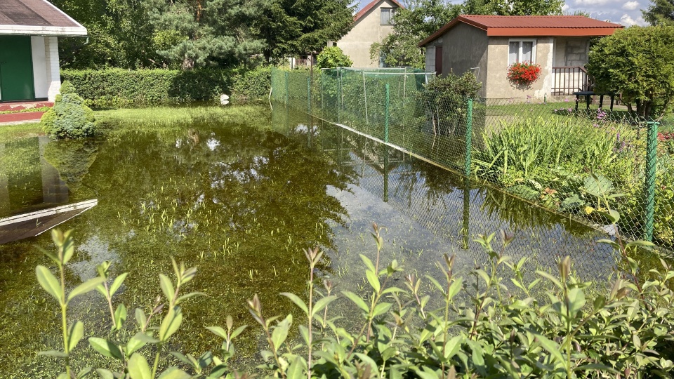 Fot. Krzysztof Cichocki [Radio Szczecin]