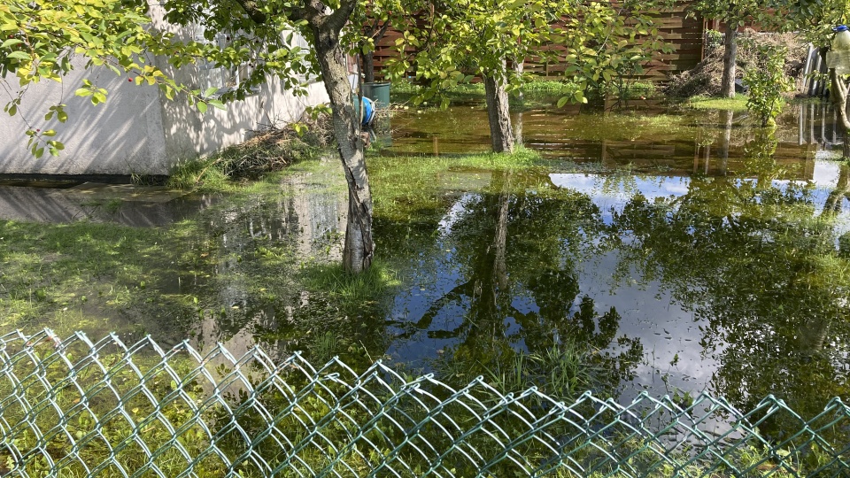 Fot. Krzysztof Cichocki [Radio Szczecin]