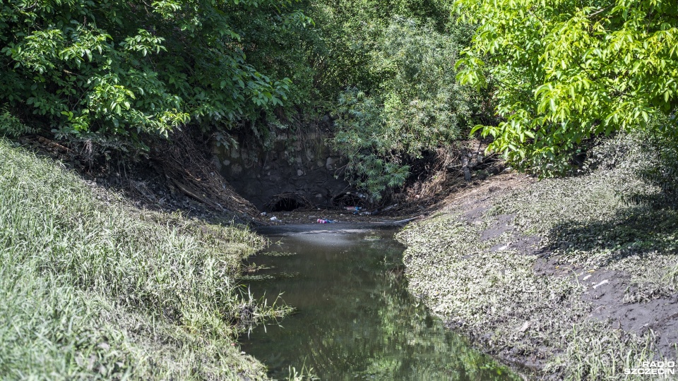 Fot. Kamila Kozioł [Radio Szczecin]