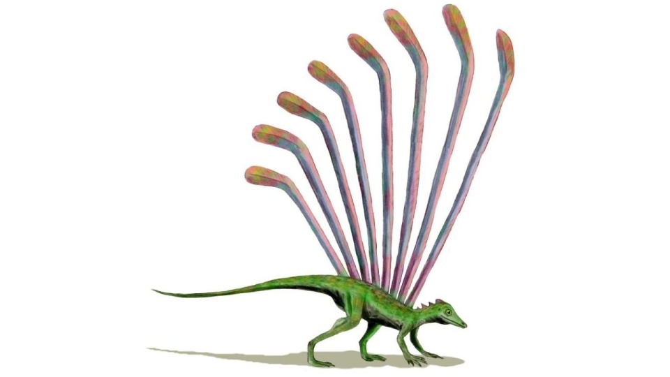 Mirasaura. Fot. Wikipedia / Nobu Tamura (Creative Commons Attribution-Share Alike 3.0 Unported)