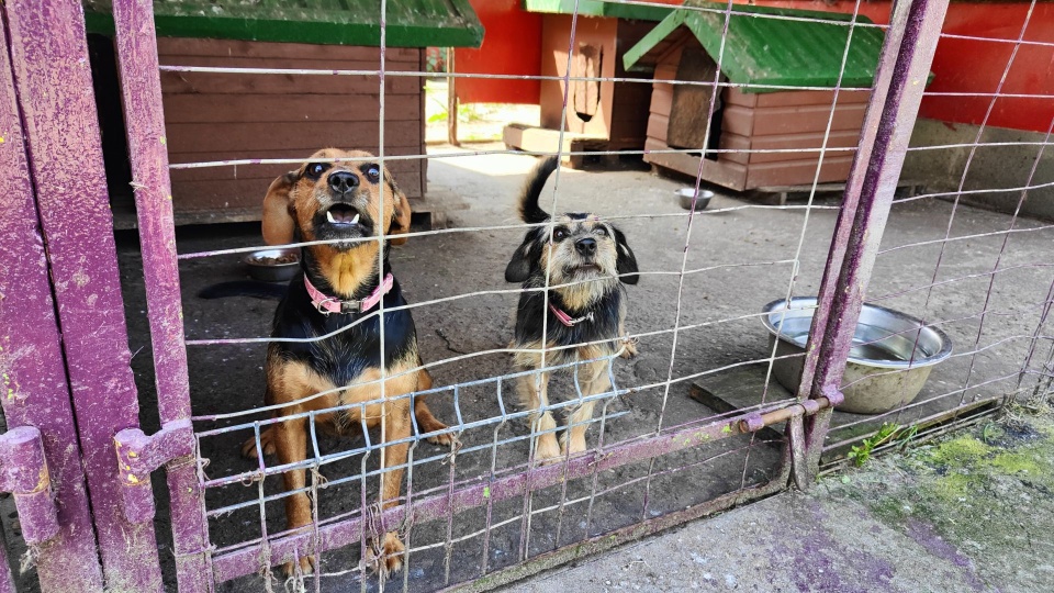 Fot. Przemysław Polanin [Radio Szczecin]