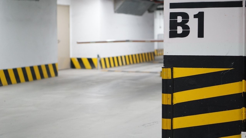 Fot. pixabay.com / quangnaruto (CC0 domena publiczna)