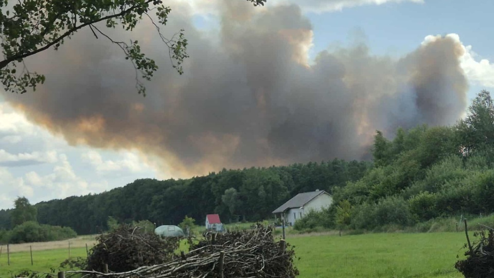 Żródło: twojeinfo24.pl