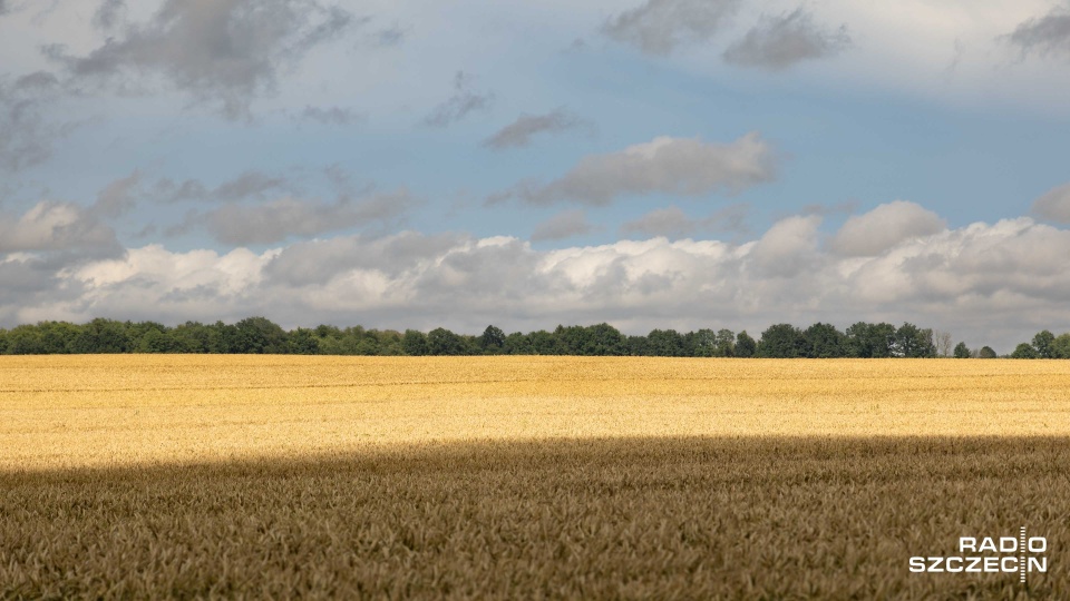 Fot. Robert Stachnik [Radio Szczecin]