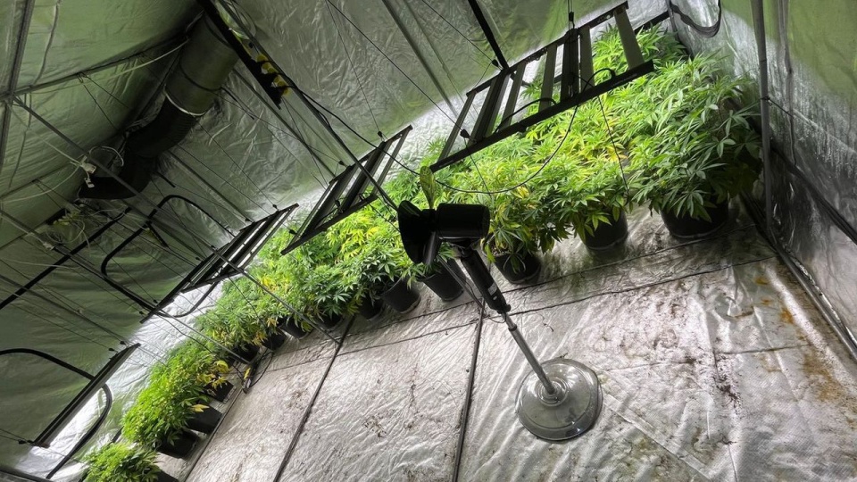 źródło: zachodniopomorska.policja.gov.pl