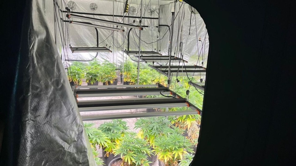 źródło: zachodniopomorska.policja.gov.pl