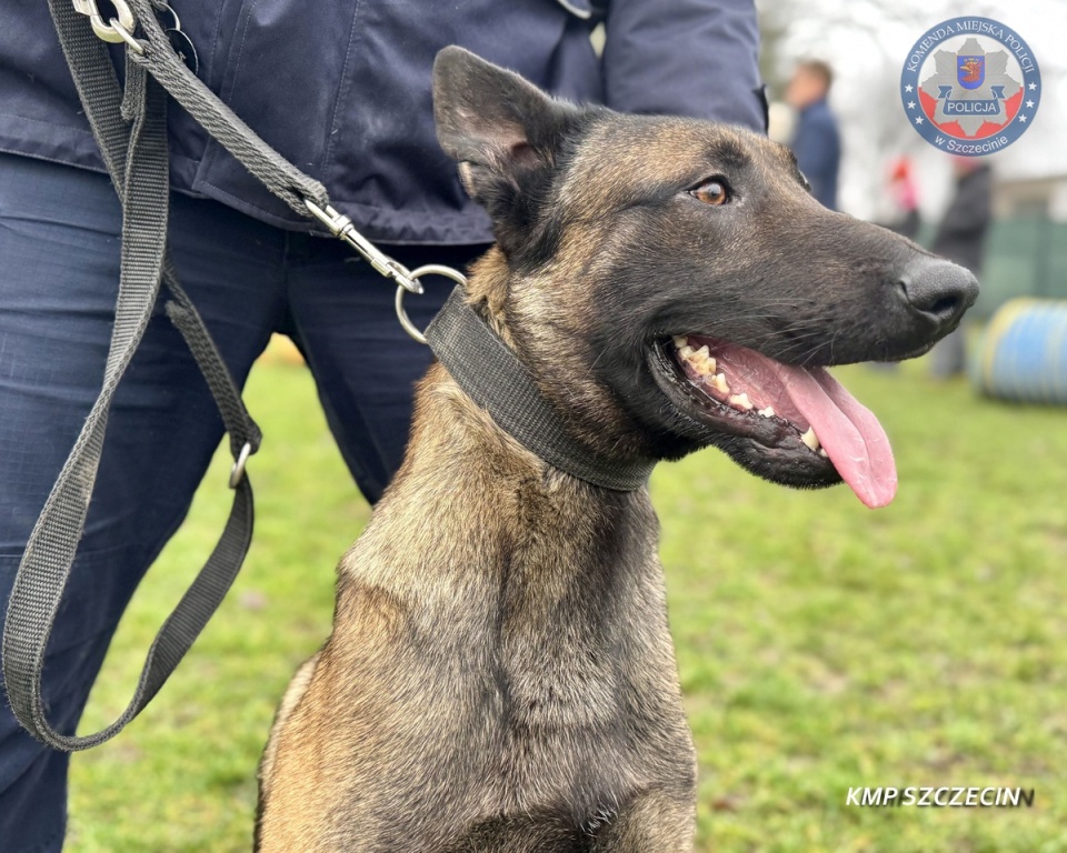 Fot. szczecin.policja.gov.pl