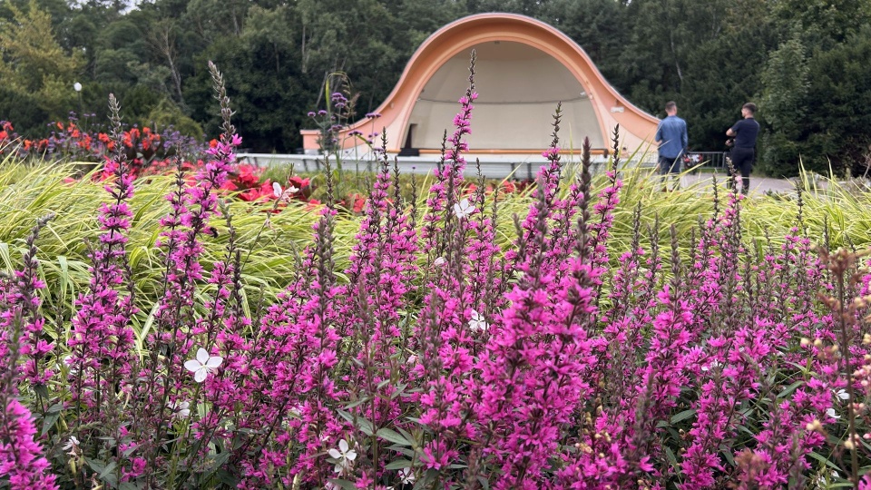 Fot. Urząd Miasta Świnoujście