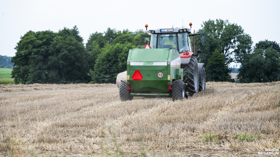Fot. Kamila Kozioł [Radio Szczecin]