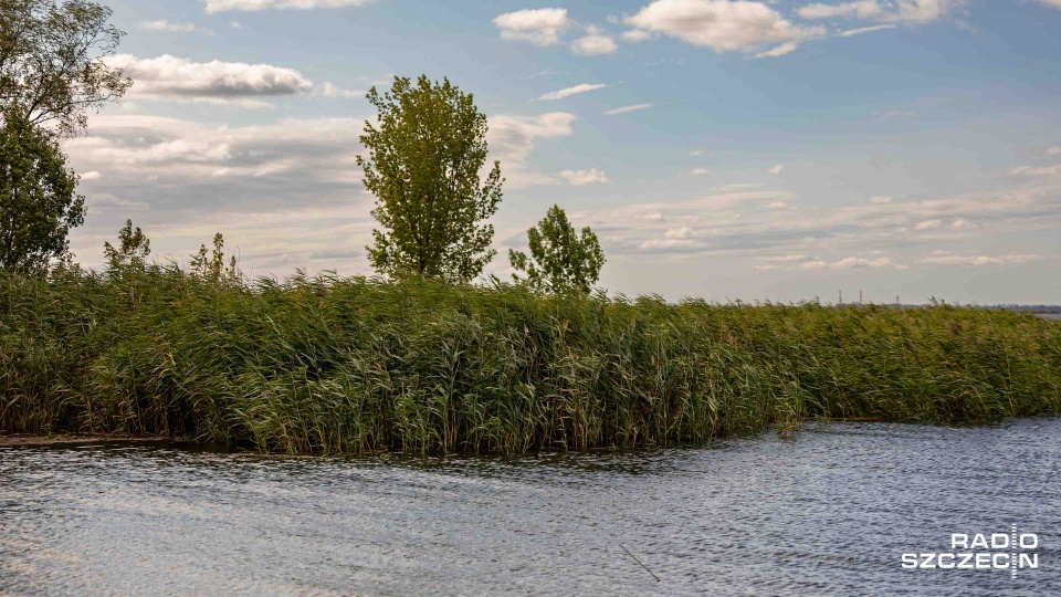 Fot. Robert Stachnik [Radio Szczecin]