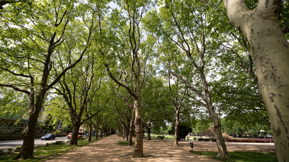 Fot. Robert Stachnik [Radio Szczecin]