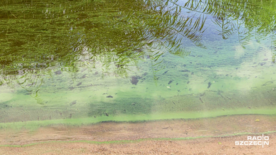 Fot. Robert Stachnik [Radio Szczecin]