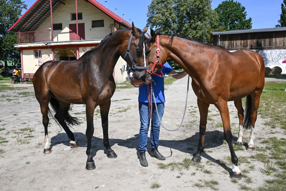 Fot. PAP/Marcin Bielecki