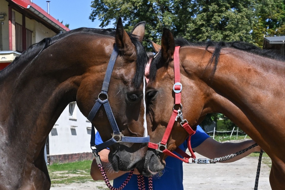 Fot. PAP/Marcin Bielecki