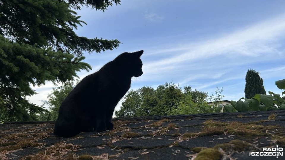 Fot. Jacek Rujna [Radio Szczecin]