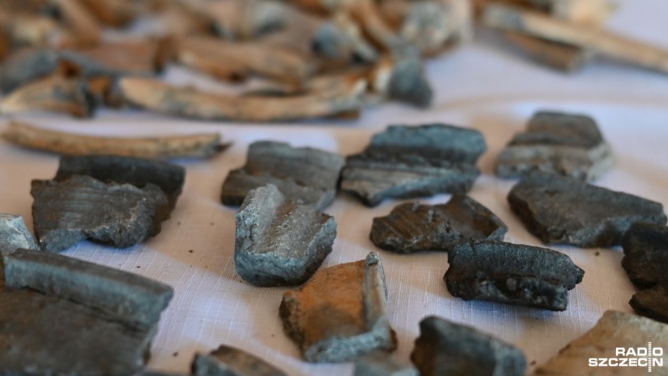 Fragmenty ceramiki znalezione na Srebrnym Wzgórzu w Wolinie. Fot. Elżbieta Bielecka [Radio Szczecin]