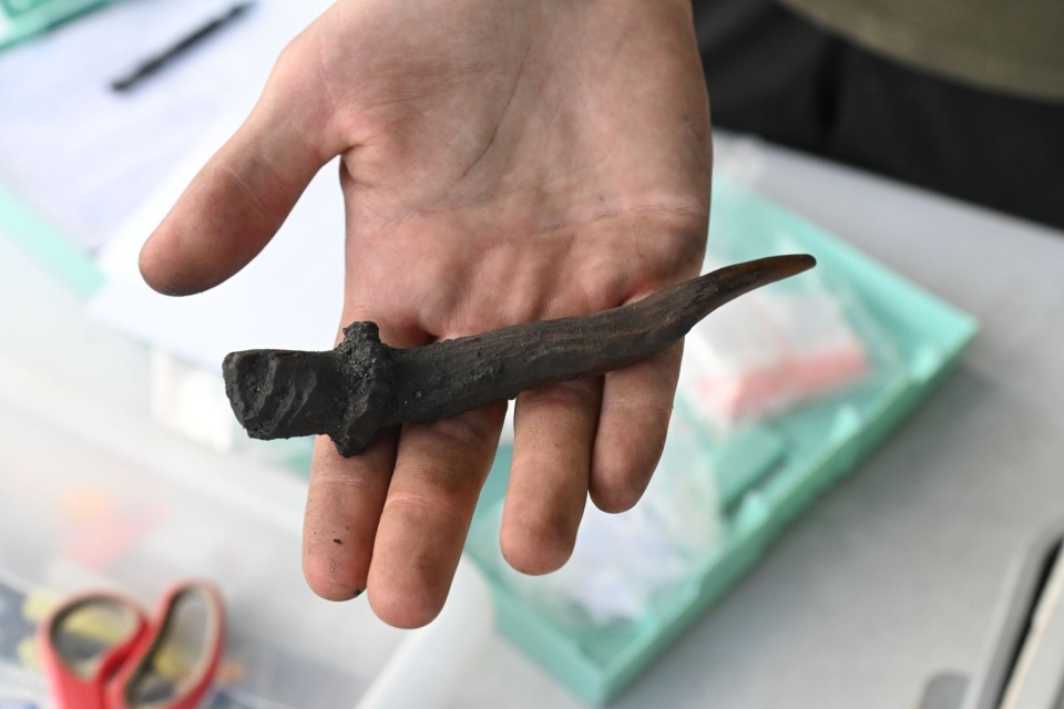 Fot. PAP/Marcin Bielecki