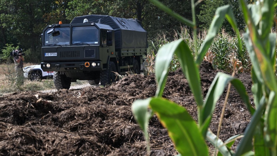 Fot. PAP/Wojtek Jargiło