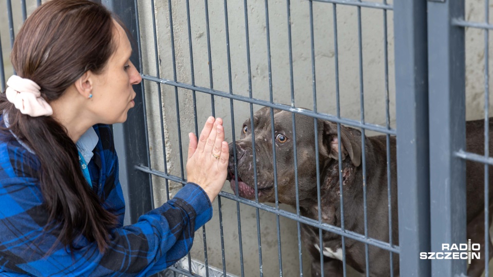 Fot. Robert Stachnik [Radio Szczecin]