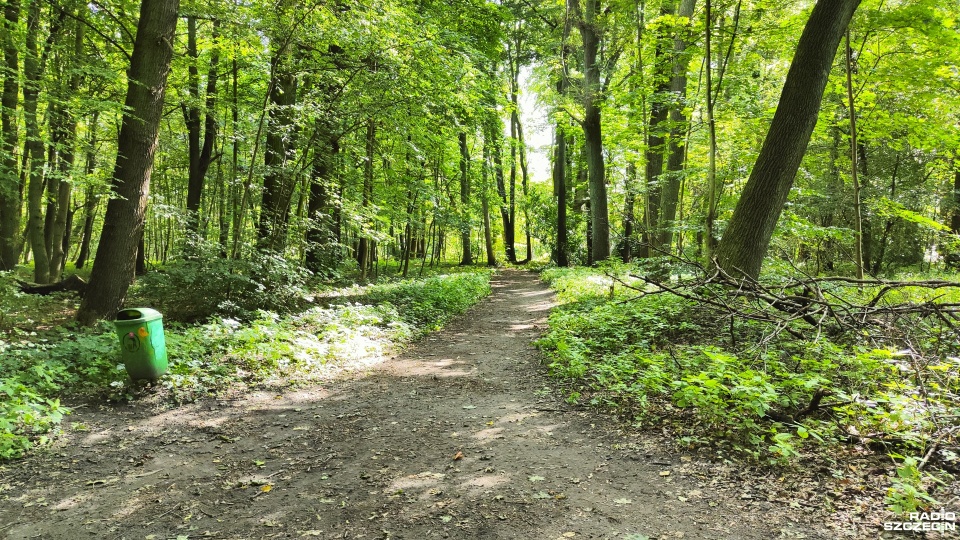Fot. Przemysław Polanin [Radio Szczecin]