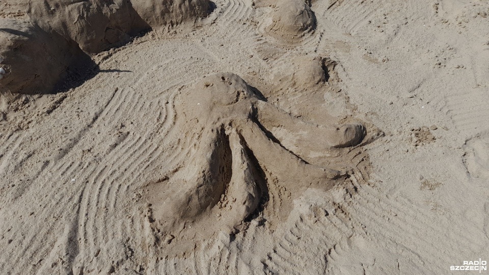 Fot. Joanna Maraszek [Radio Szczecin]