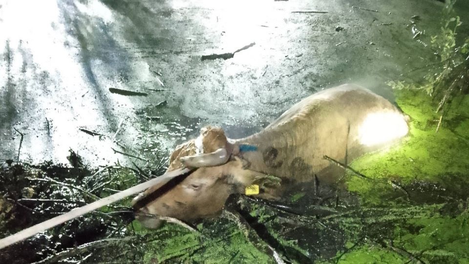 Fot. FB/Komenda Powiatowa Państwowej Straży Pożarnej w Drawsku Pomorskim