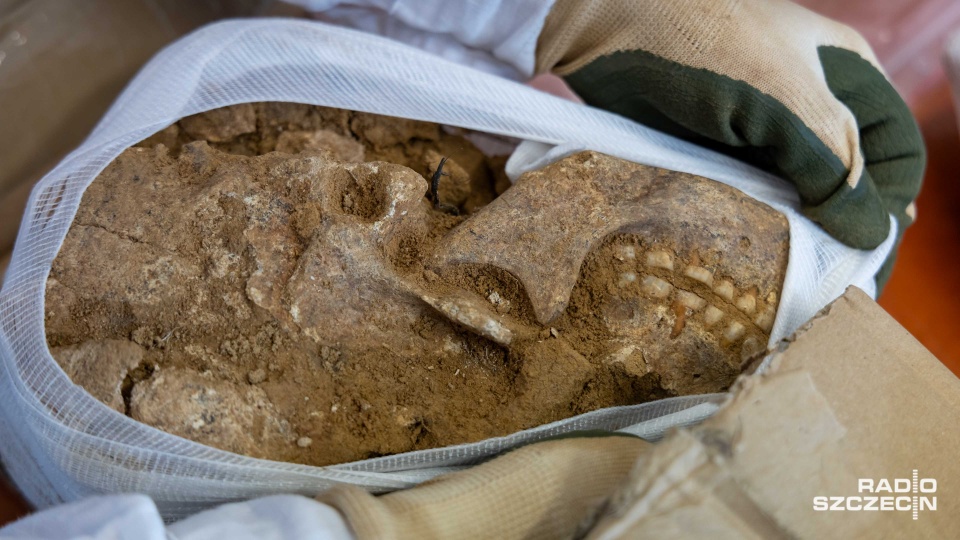 Fot. Robert Stachnik [Radio Szczecin]