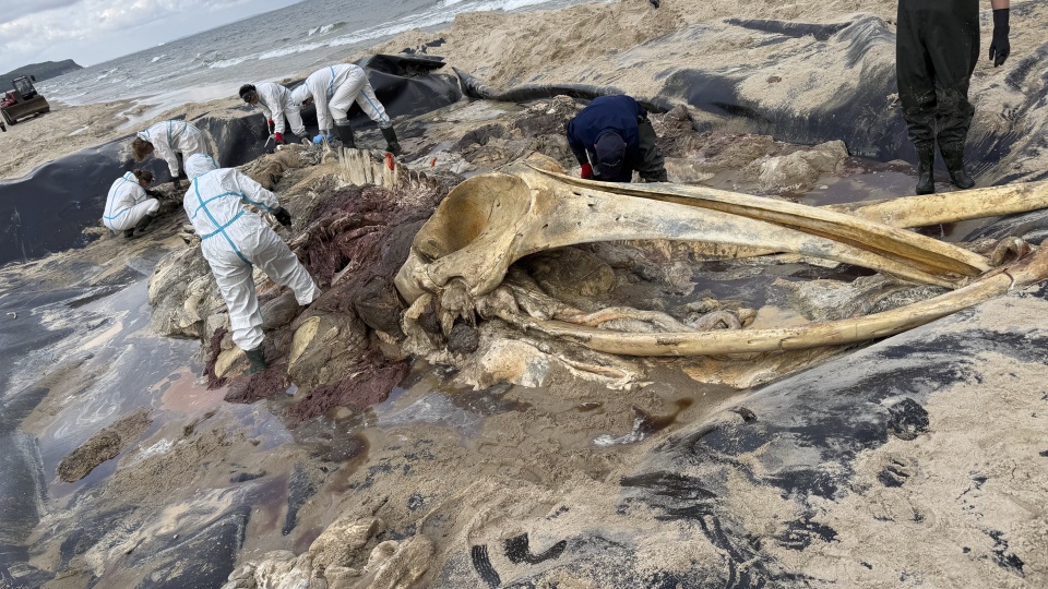 Fot. archiwum prywatne