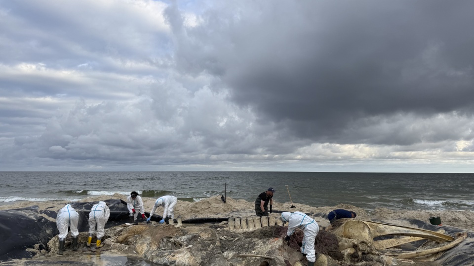 Fot. archiwum prywatne