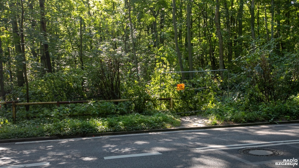 Fot. Weronika Łyczywek [Radio Szczecin]