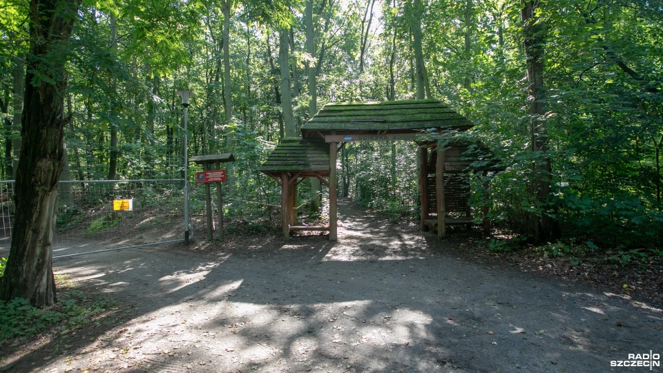 Fot. Weronika Łyczywek [Radio Szczecin]