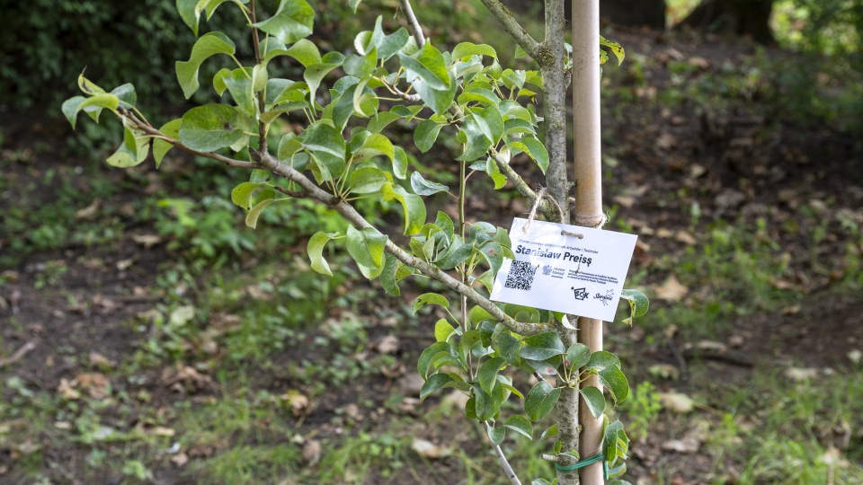 Fot. Kamila Kozioł [Radio Szczecin]