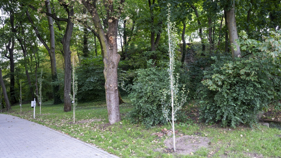 Fot. Kamila Kozioł [Radio Szczecin]