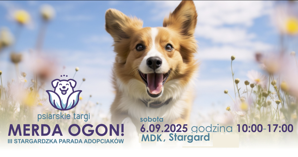 Źródło Facebook / Merda Ogon. Prozwierzęce targi dobroczynności