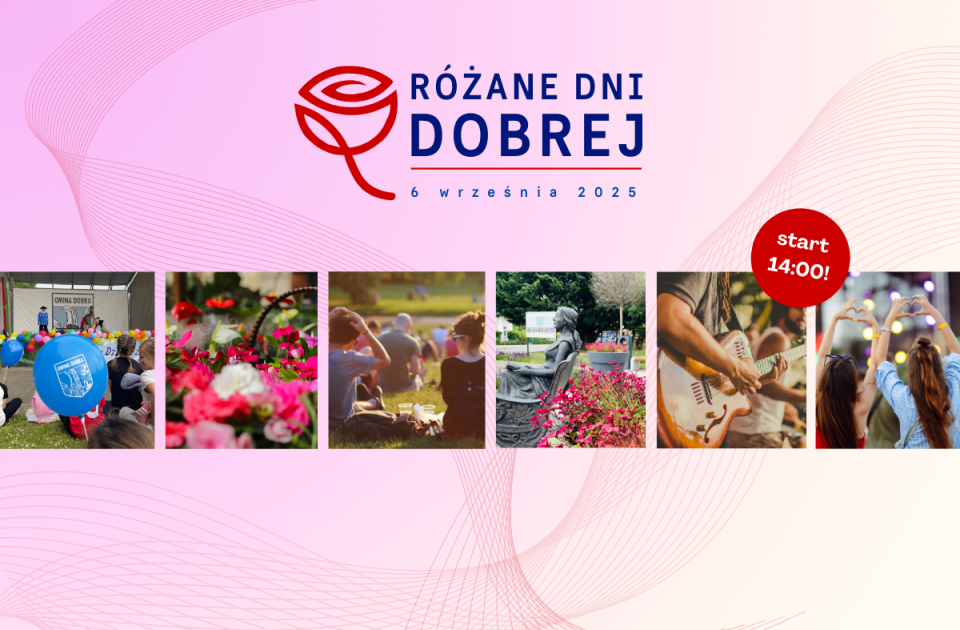 Materiały organizatora.