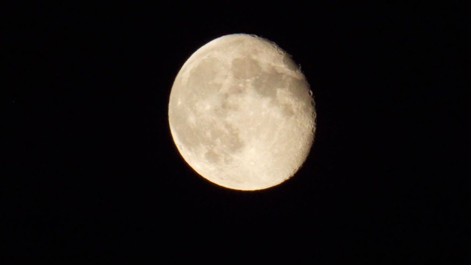 Fot. pixabay.com / chriscalderwoo1 (CC0 domena publiczna)