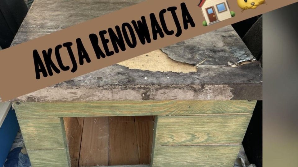 Mat. Stowarzyszenie KociArka