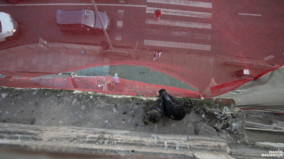 Fot. Weronika Łyczywek [Radio Szczecin]