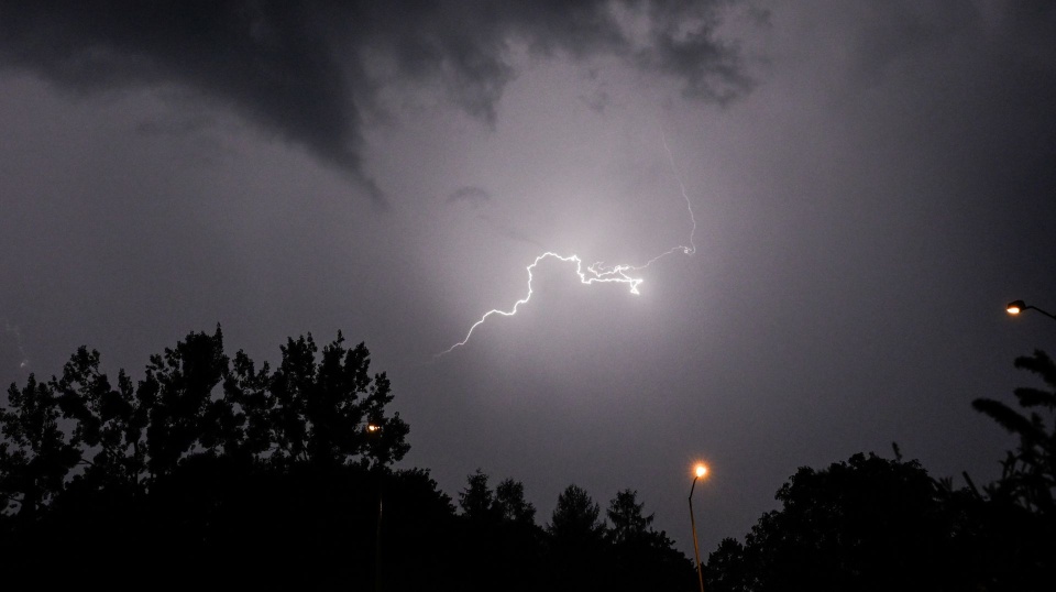 Fot. PAP/Marcin Bielecki