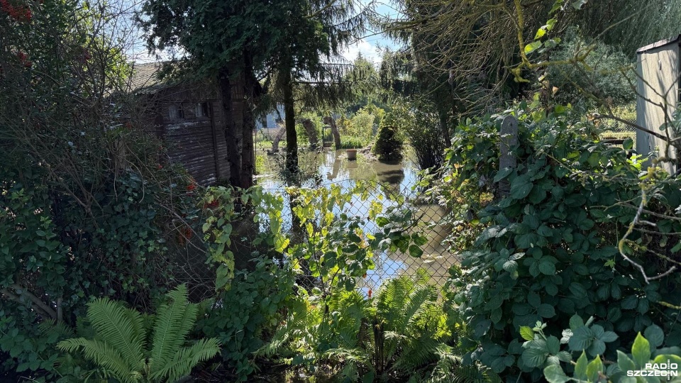 Fot. Jakub Tomala [Radio Szczecin]