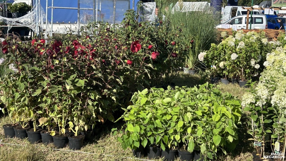 Targi Agro Pomerania w Barzkowicach. Fot. Kacper Narodzonek [Radio Szczecin]