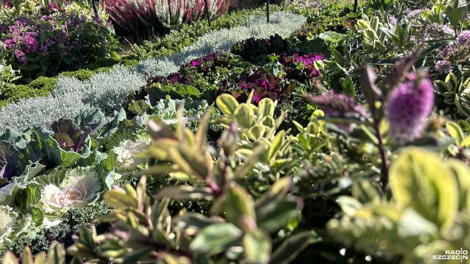 Targi Agro Pomerania w Barzkowicach. Fot. Kacper Narodzonek [Radio Szczecin]