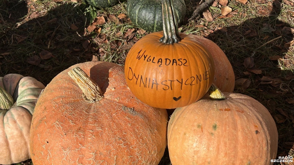 Targi Agro Pomerania w Barzkowicach. Fot. Kacper Narodzonek [Radio Szczecin]