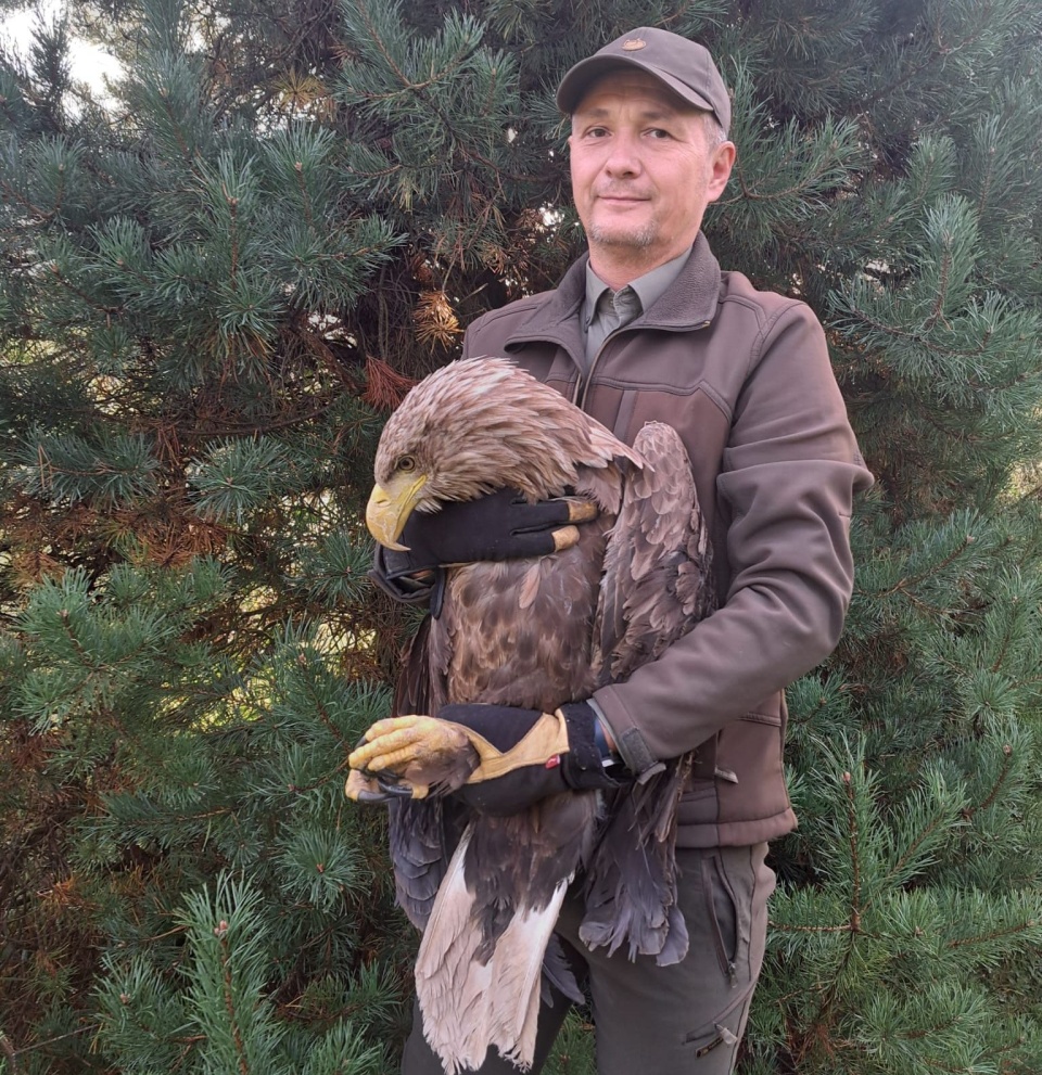 Fot. Nadleśnictwo Barlinek