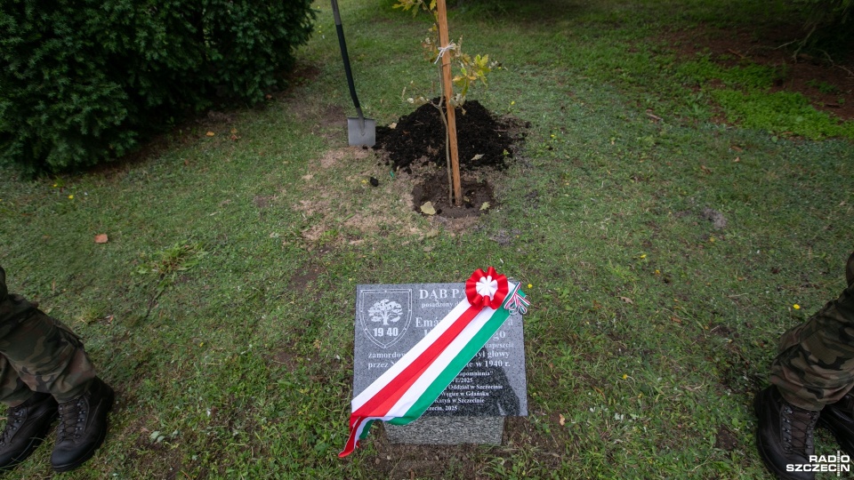 Fot. Weronika Łyczywek [Radio Szczecin]