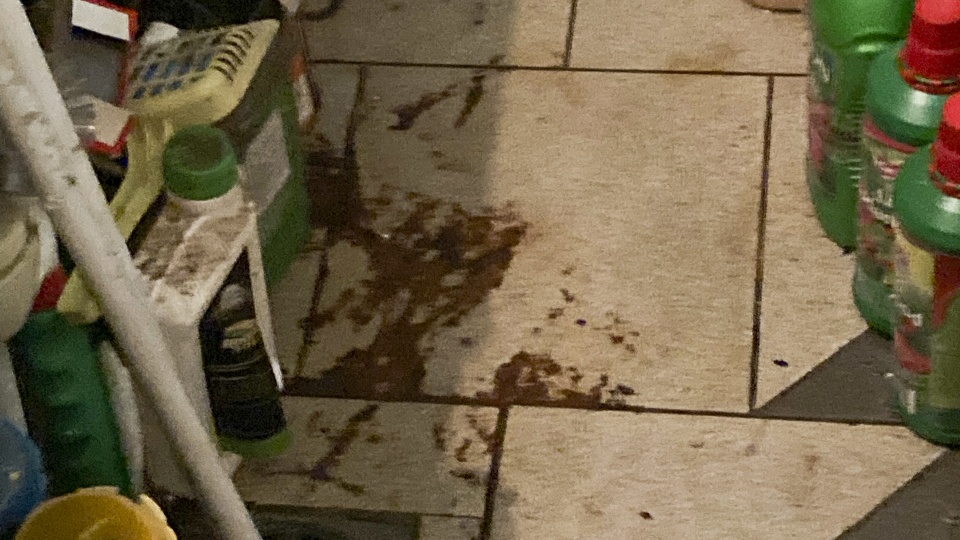 Fot. Krzysztof Cichocki [Radio Szczecin]