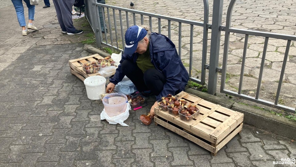 Fot. Anna Klimczyk [Radio Szczecin]