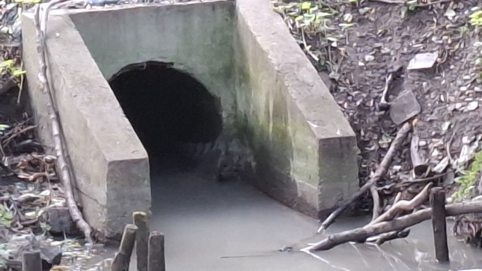 fot. Wody Polskie RZGW Szczecin / Facebook