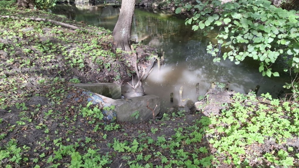 fot. Wody Polskie RZGW Szczecin / Facebook